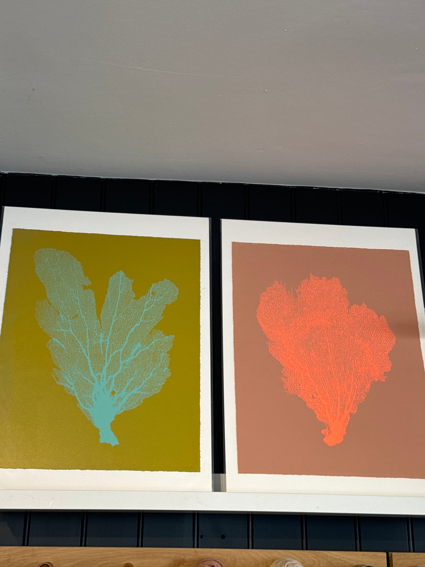 Jo de Pear Sea Fan Print