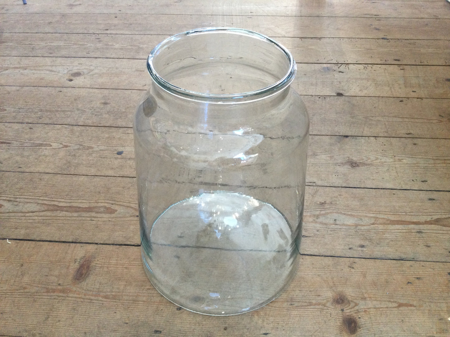 Grand Illusions Botanical Vase