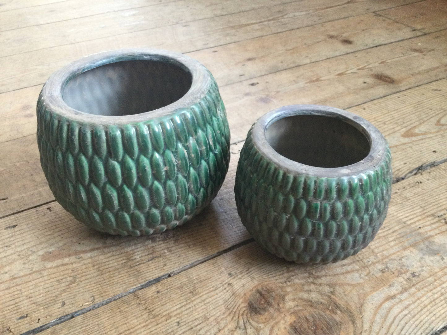 Grand Illusions Armadillo Pot