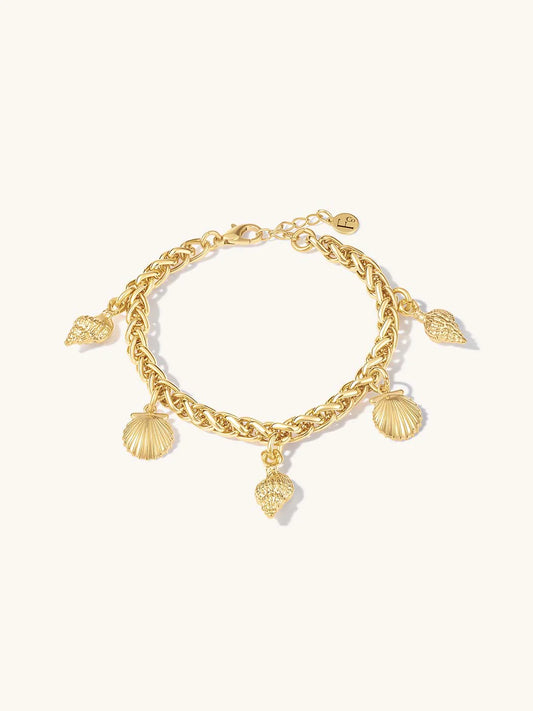 Formation Shell Charm Bracelet