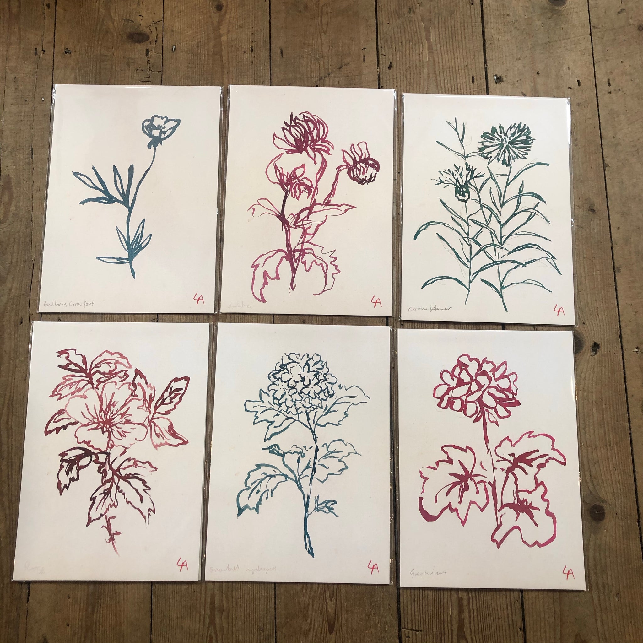 Atelier Auge Dahlia Botanical Print