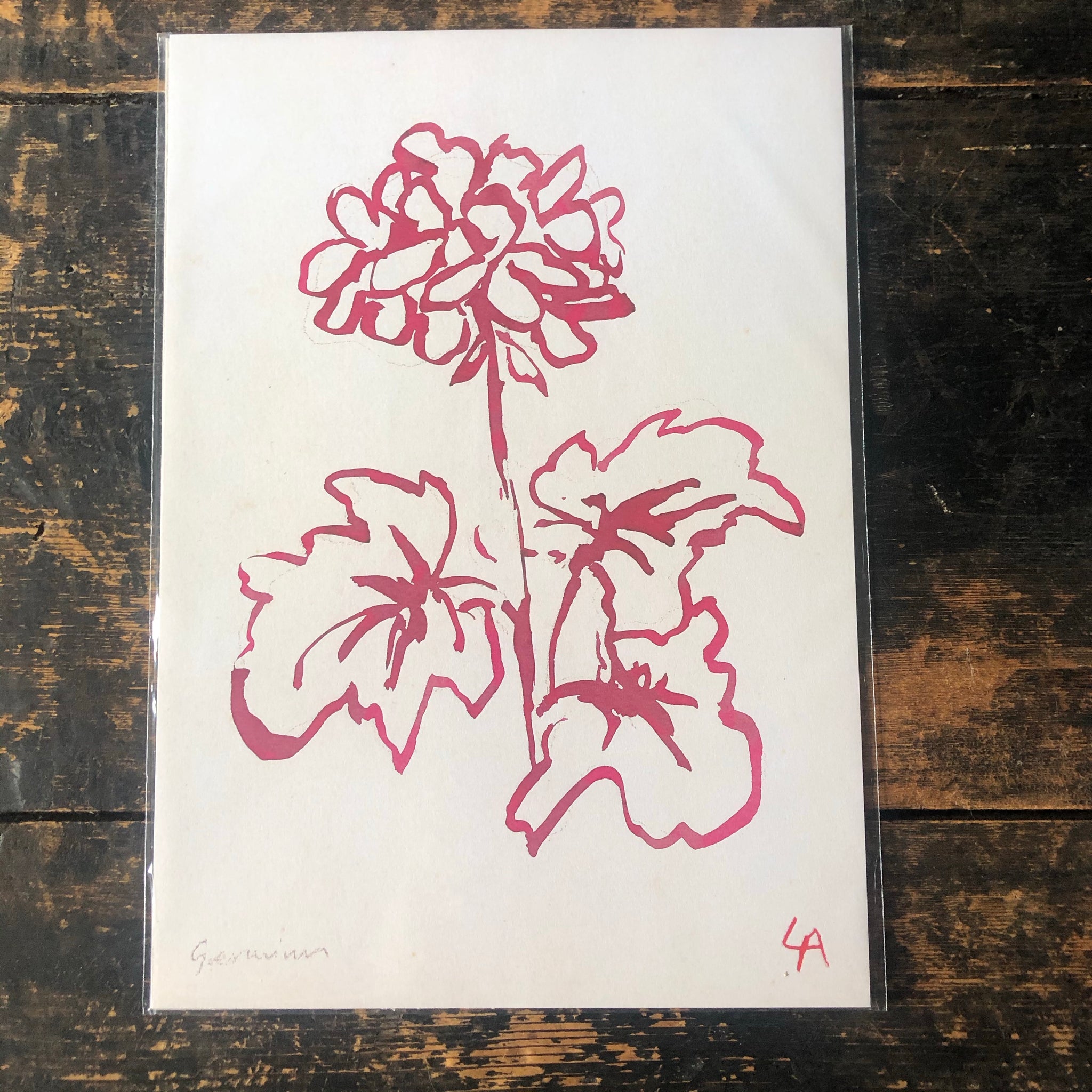 Atelier Auge Geranium Botanical Print