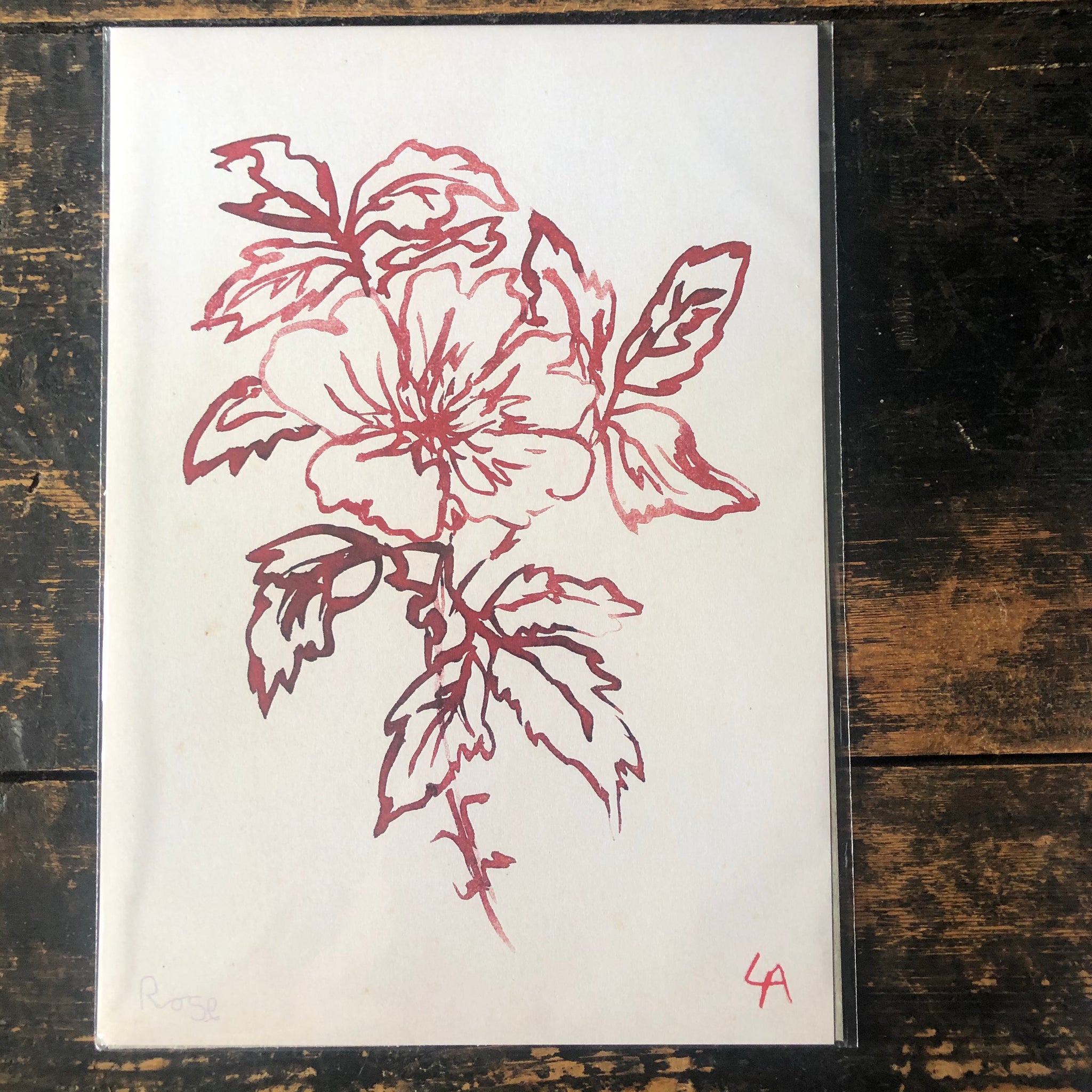 Atelier Auge Wild Rose Botanical Print